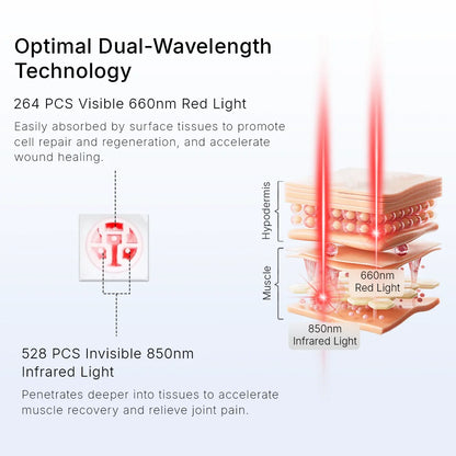 Extra-Large Dual-Wavelength Red Light Therapy Mat